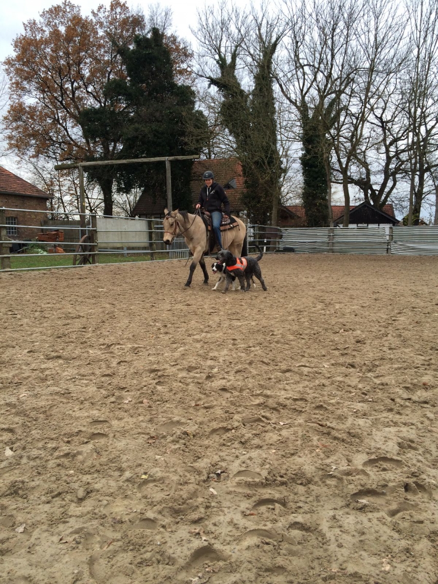 Wer die Wahl hat, hat die Qual...