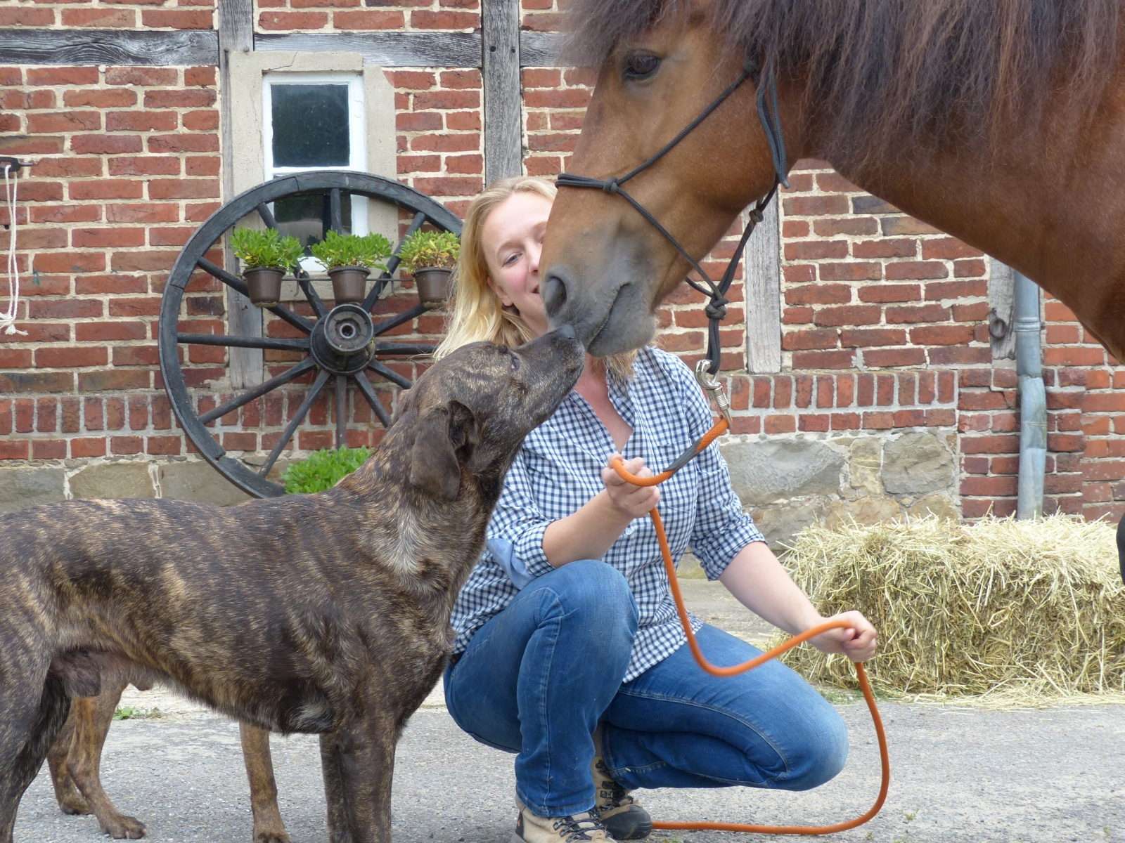 Wer die Wahl hat, hat die Qual...