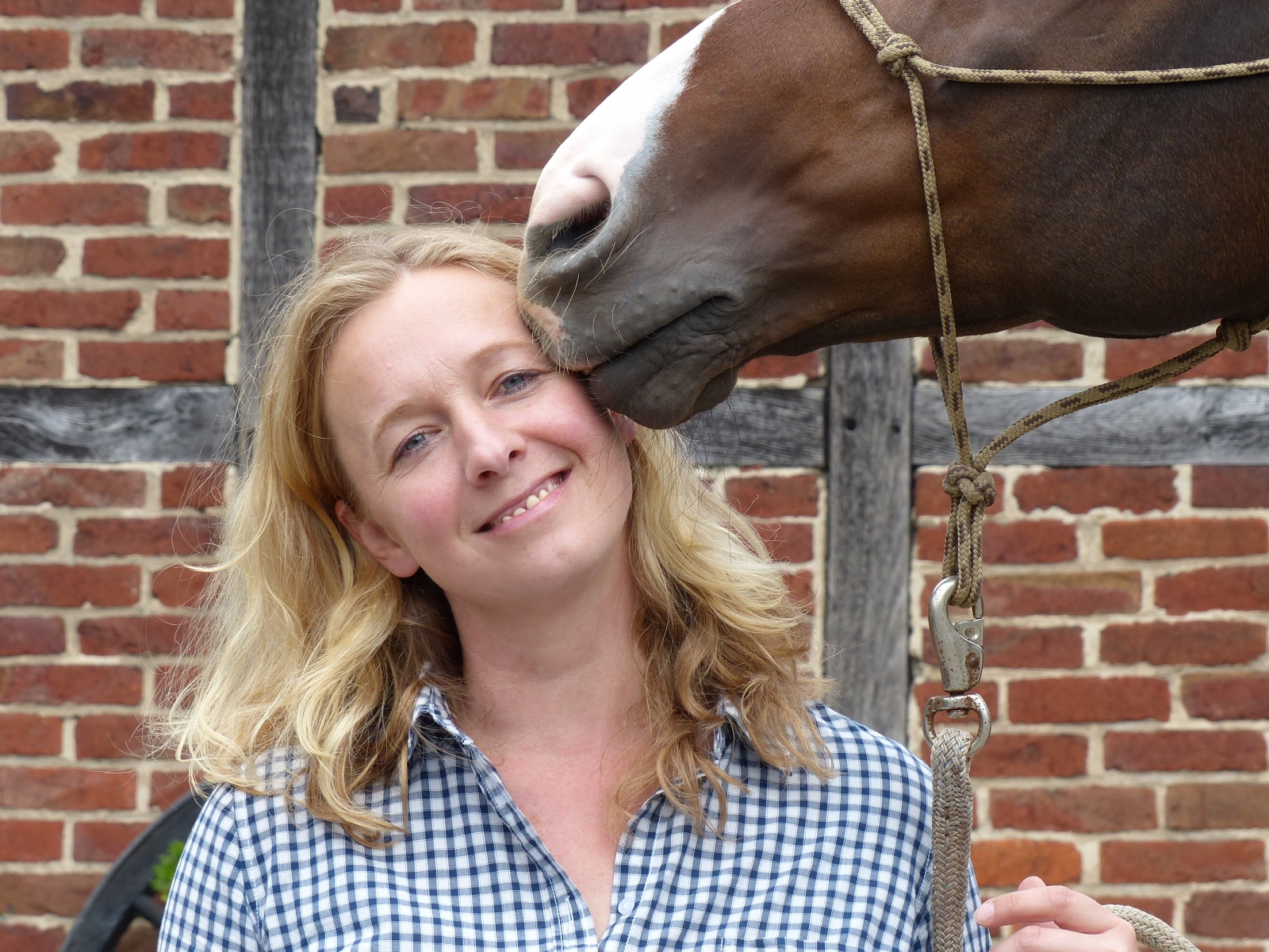 Wer die Wahl hat, hat die Qual...