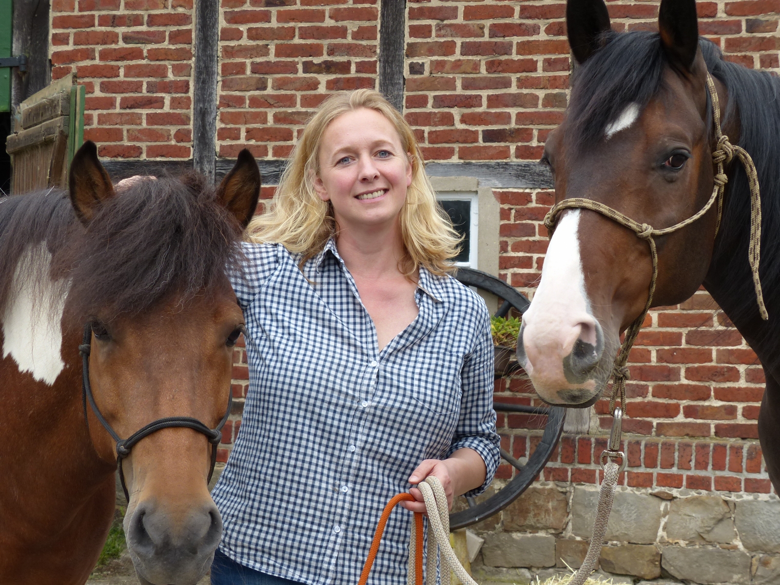 Wer die Wahl hat, hat die Qual...