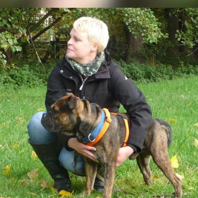 Wer die Wahl hat, hat die Qual...