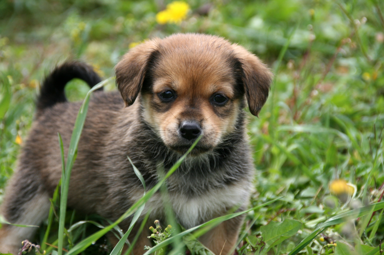 Wer die Wahl hat, hat die Qual...