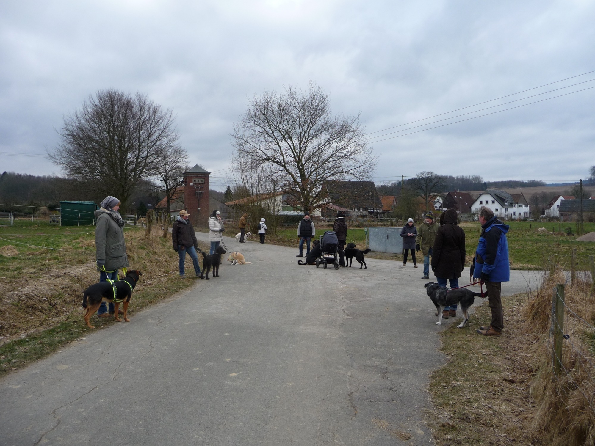 Wer die Wahl hat, hat die Qual...