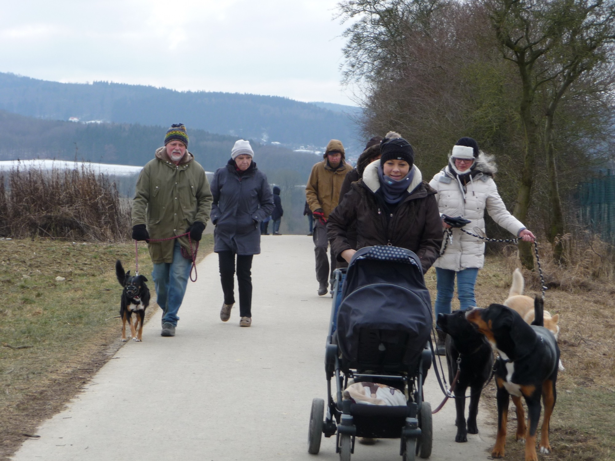 Wer die Wahl hat, hat die Qual...