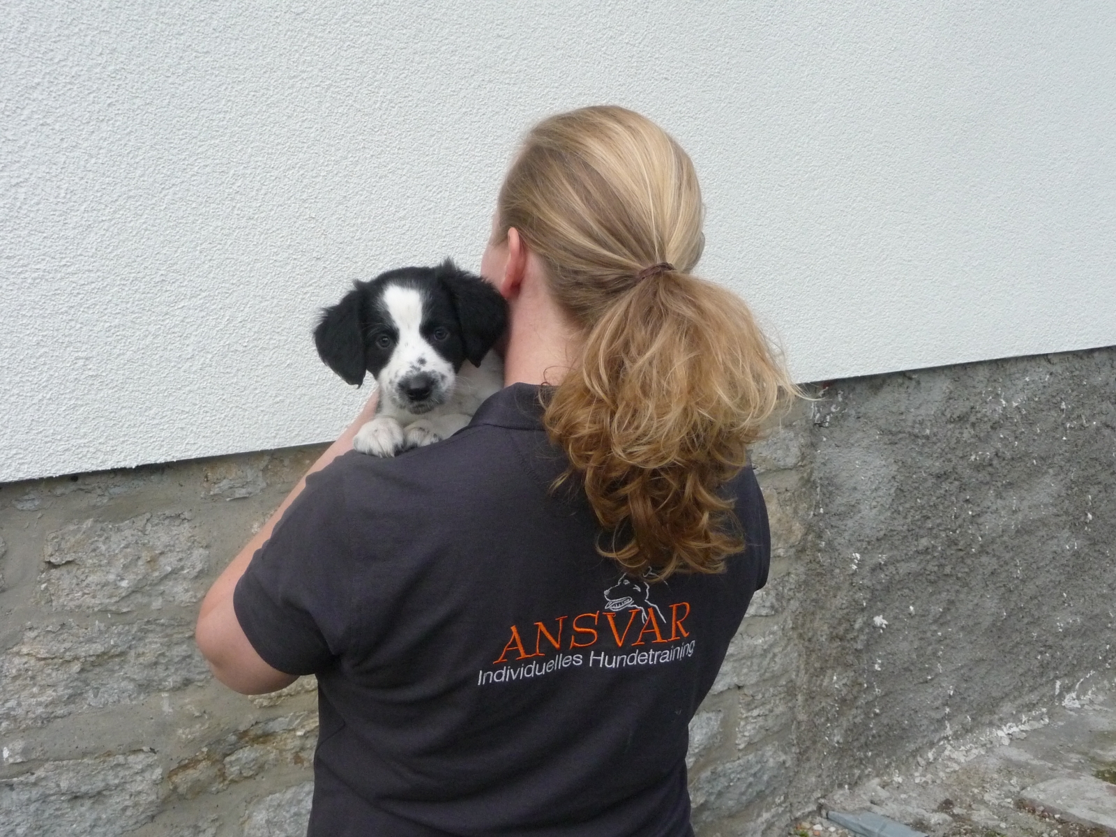 Wer die Wahl hat, hat die Qual...