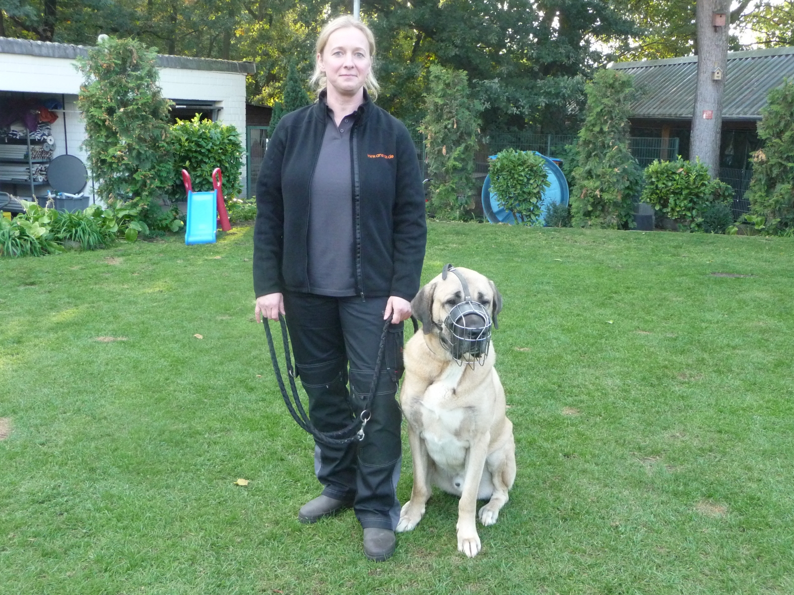 Wer die Wahl hat, hat die Qual...