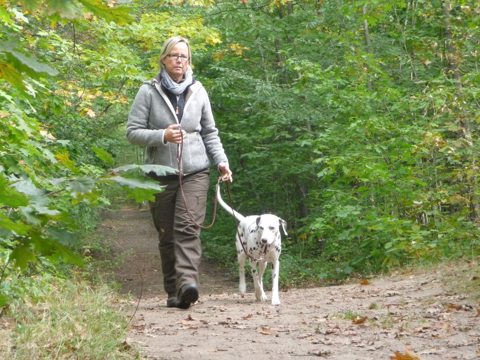 Wer die Wahl hat, hat die Qual...