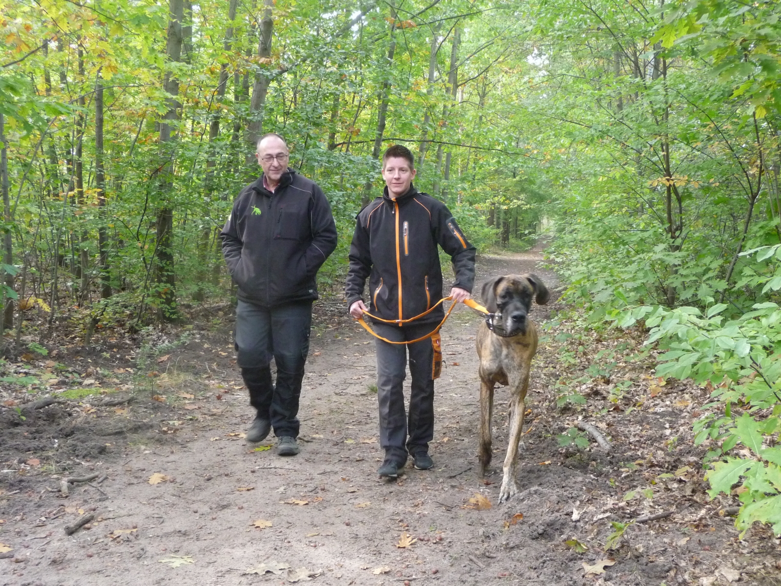 Wer die Wahl hat, hat die Qual...