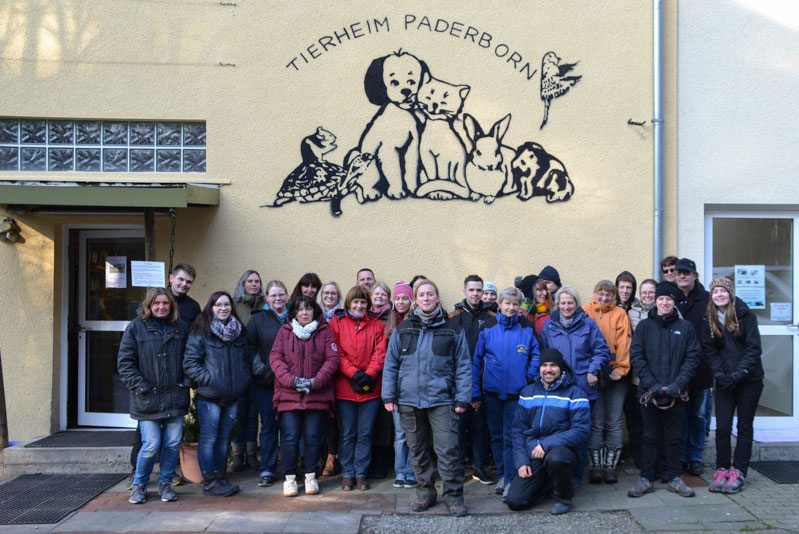 Wer die Wahl hat, hat die Qual...