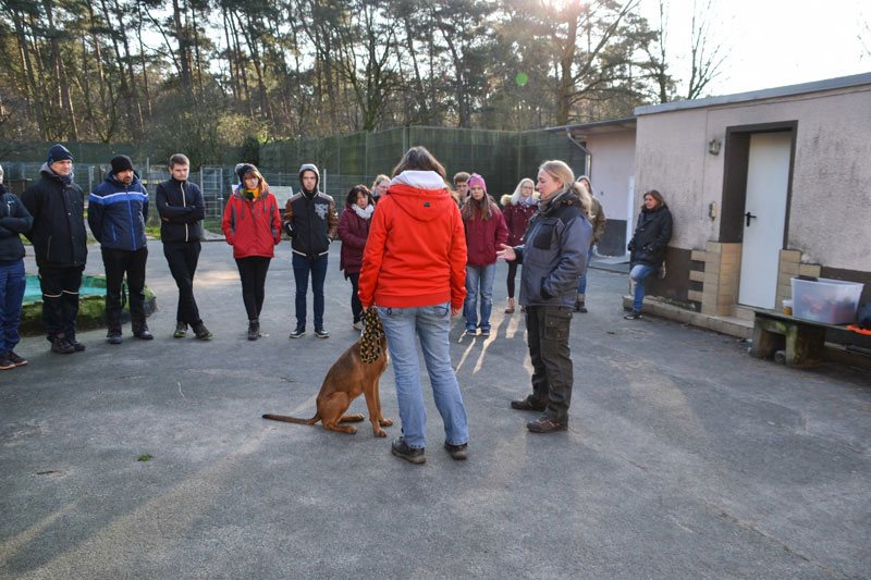 Wer die Wahl hat, hat die Qual...